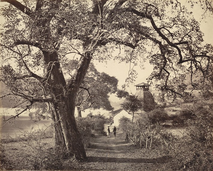Индия 1860-70-е фото Самуэля Борна, Британия991.jpg
