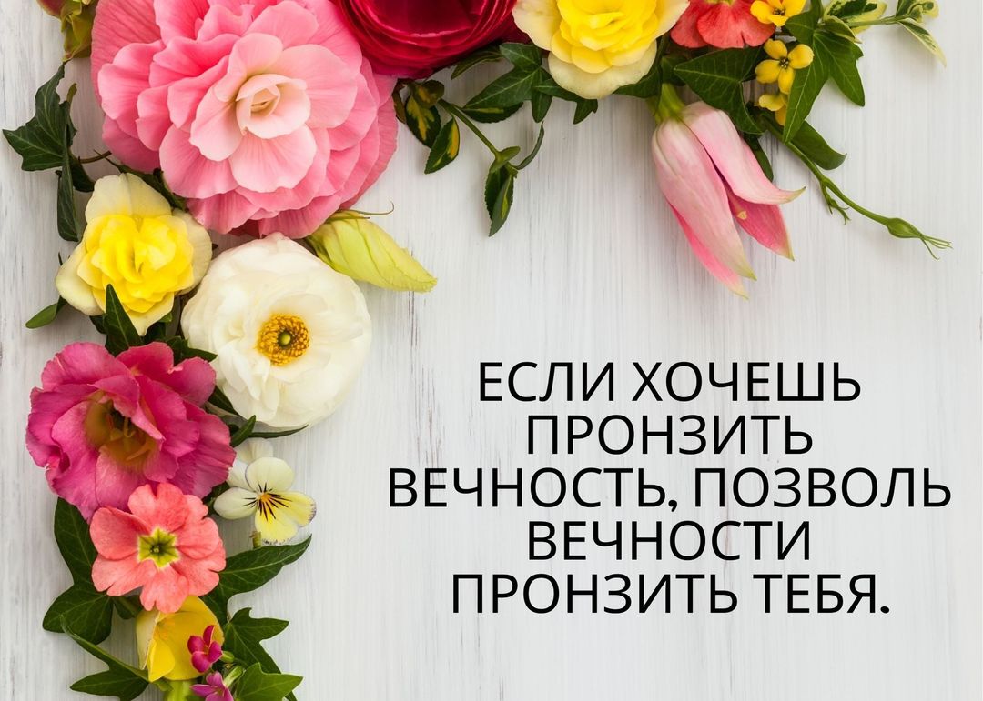 ааааааа.jpg