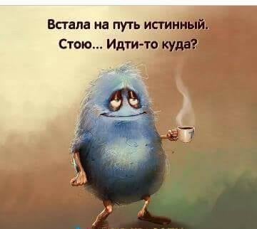 куда.jpg
