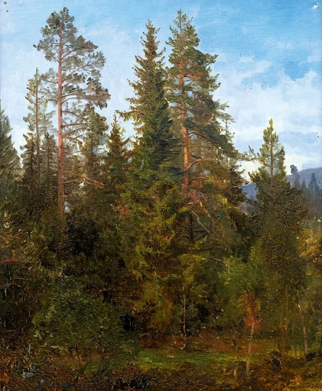 н.Anders_Askevold-Skogsstudie_fra_Eide_1868.jpg
