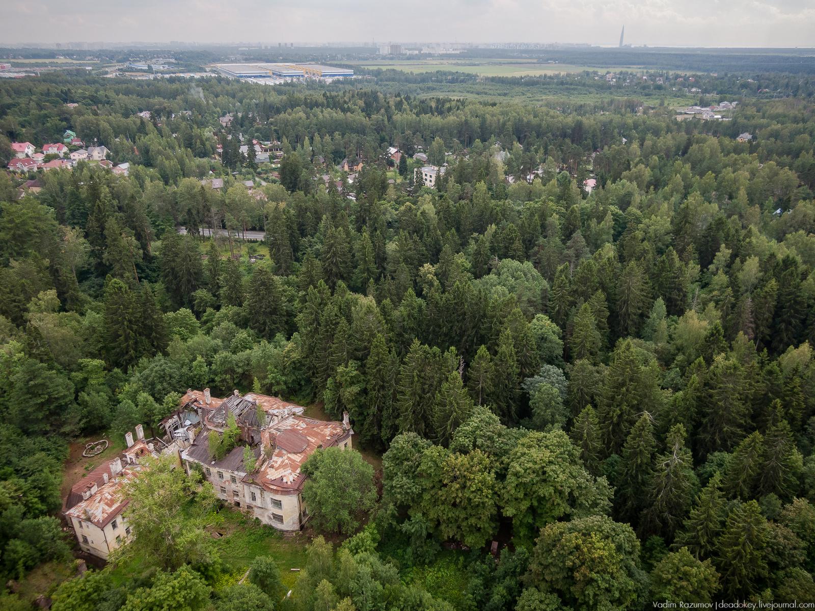 фаберже vadimrazumov_20190808_187979.jpg