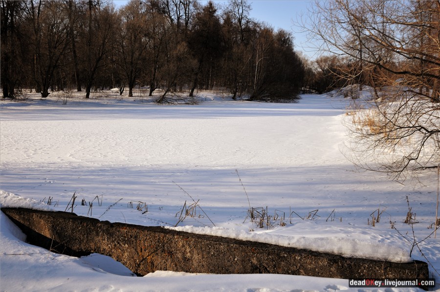 фединоSFpN4A5t7QBBm-Zw.jpg