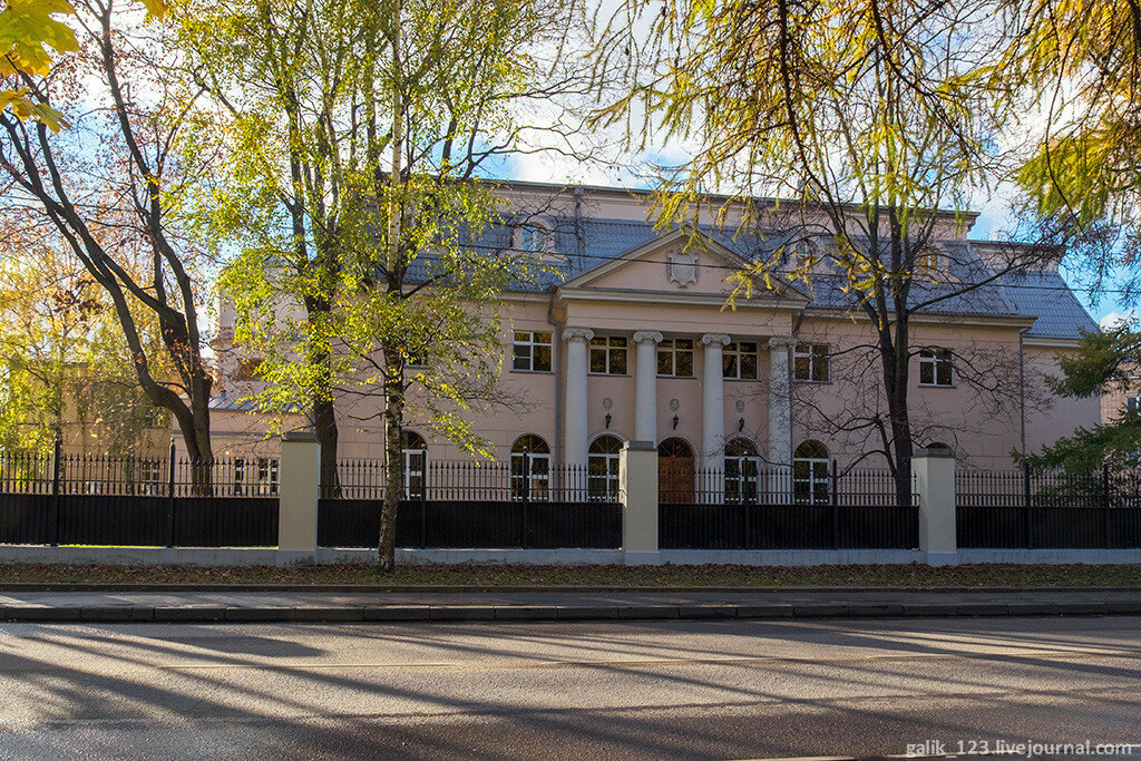 чёрн лебедьa-4817.jpg