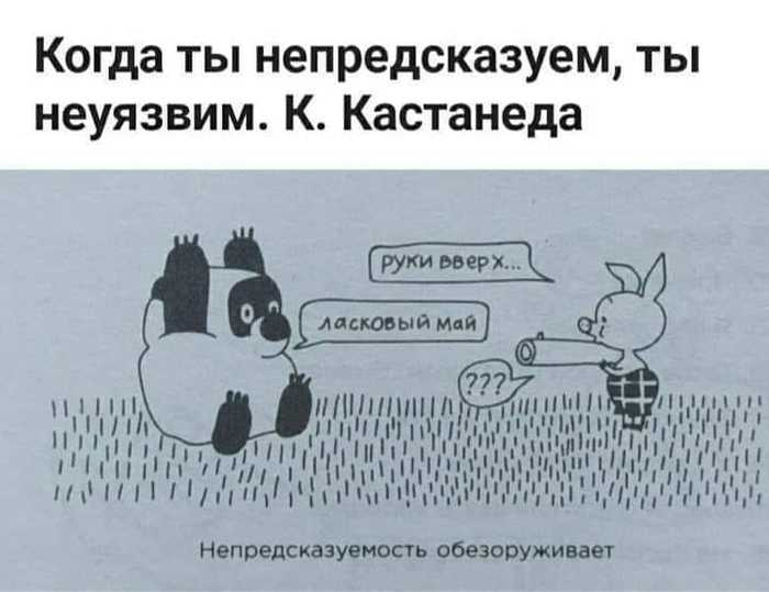 яяя.jpg