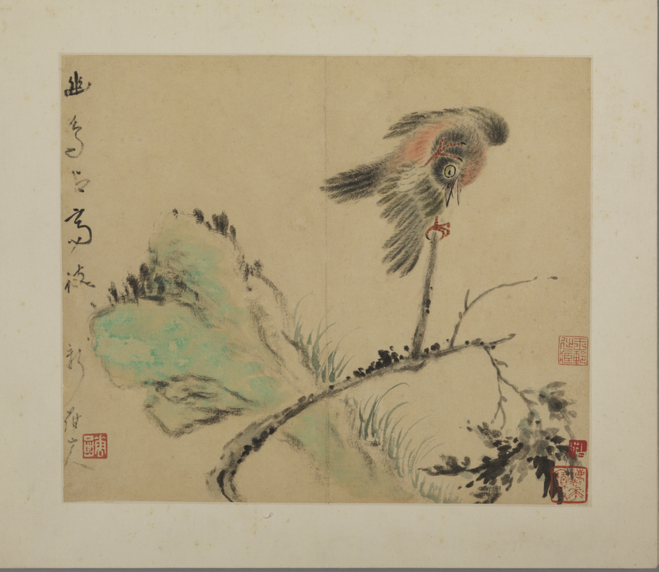 华喦花鸟册2в.png