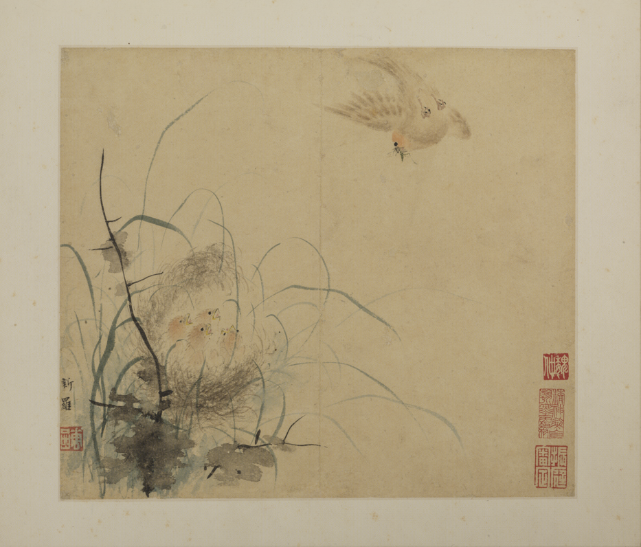 华喦花鸟册7у.png