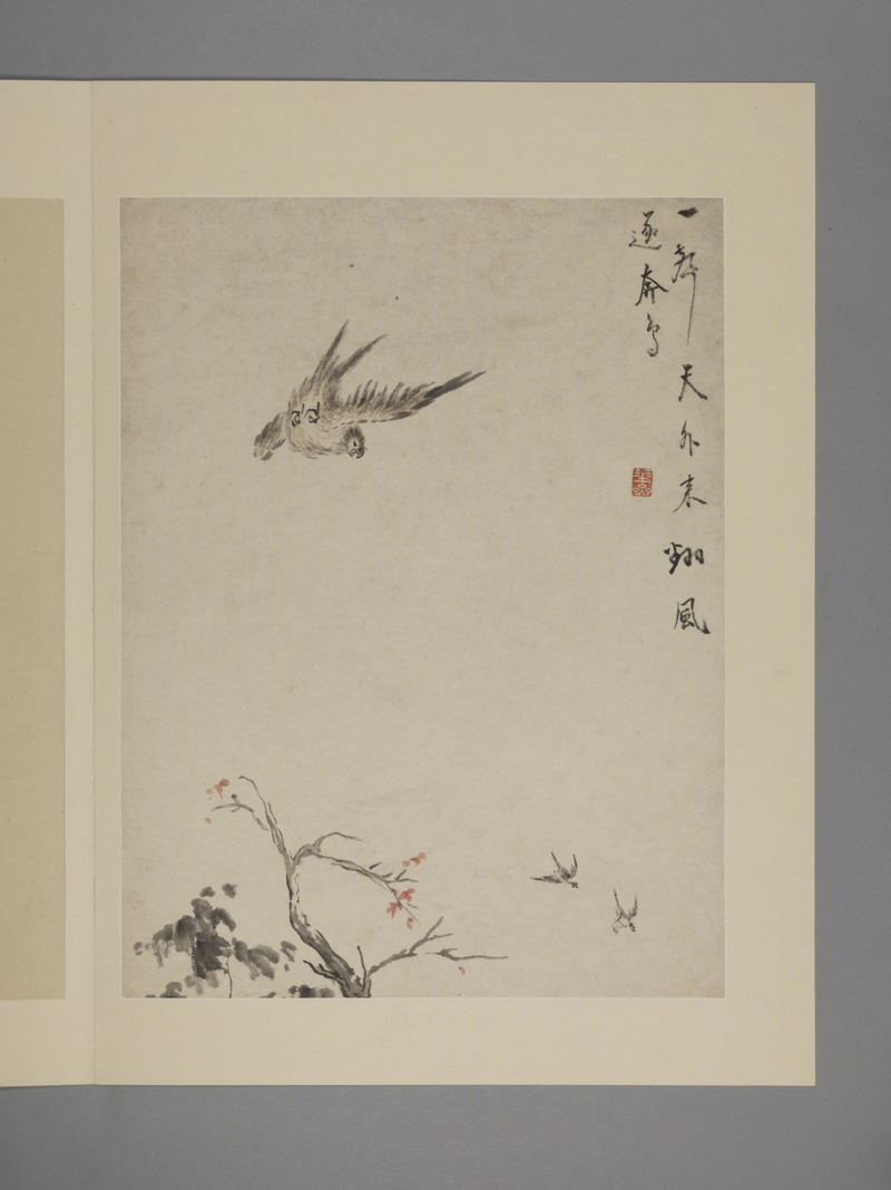华喦花鸟图册10.png