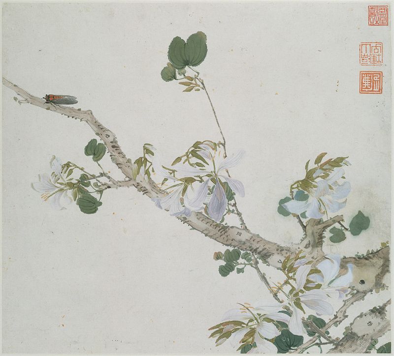 清_居廉_花卉蟲草_冊頁_八開-Insects_and_Flowers_MET_DT8389.jpg