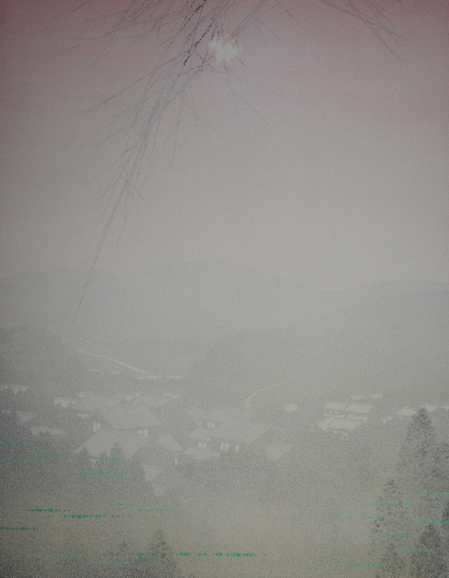 0052028529.jpg