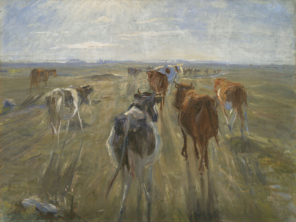 1024px-Lange_skygger._Kvæg_på_Saltholm.jpg