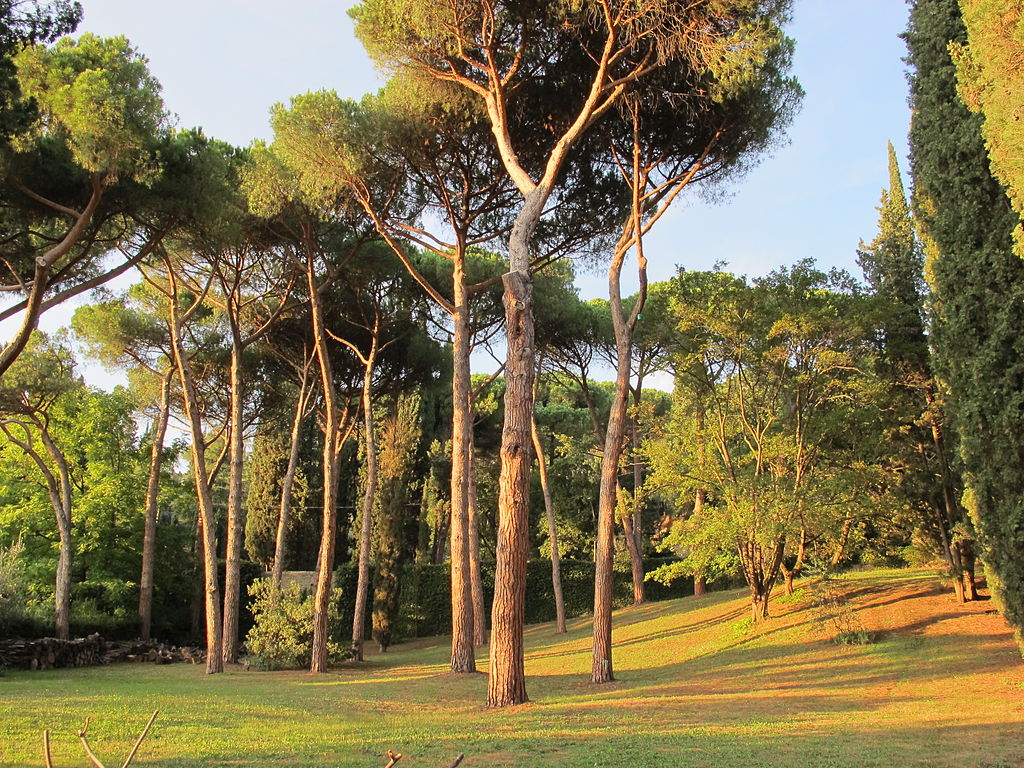 1024px-Villa_sparta,_parco,_zona_alta_03.jpg