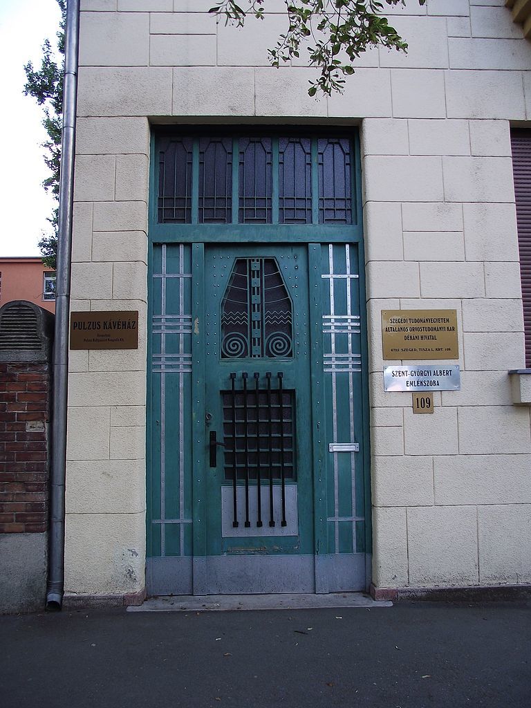 11 сегед768px-Szeged_tisza_lajos_korut_109_ornamentika_02.jpg