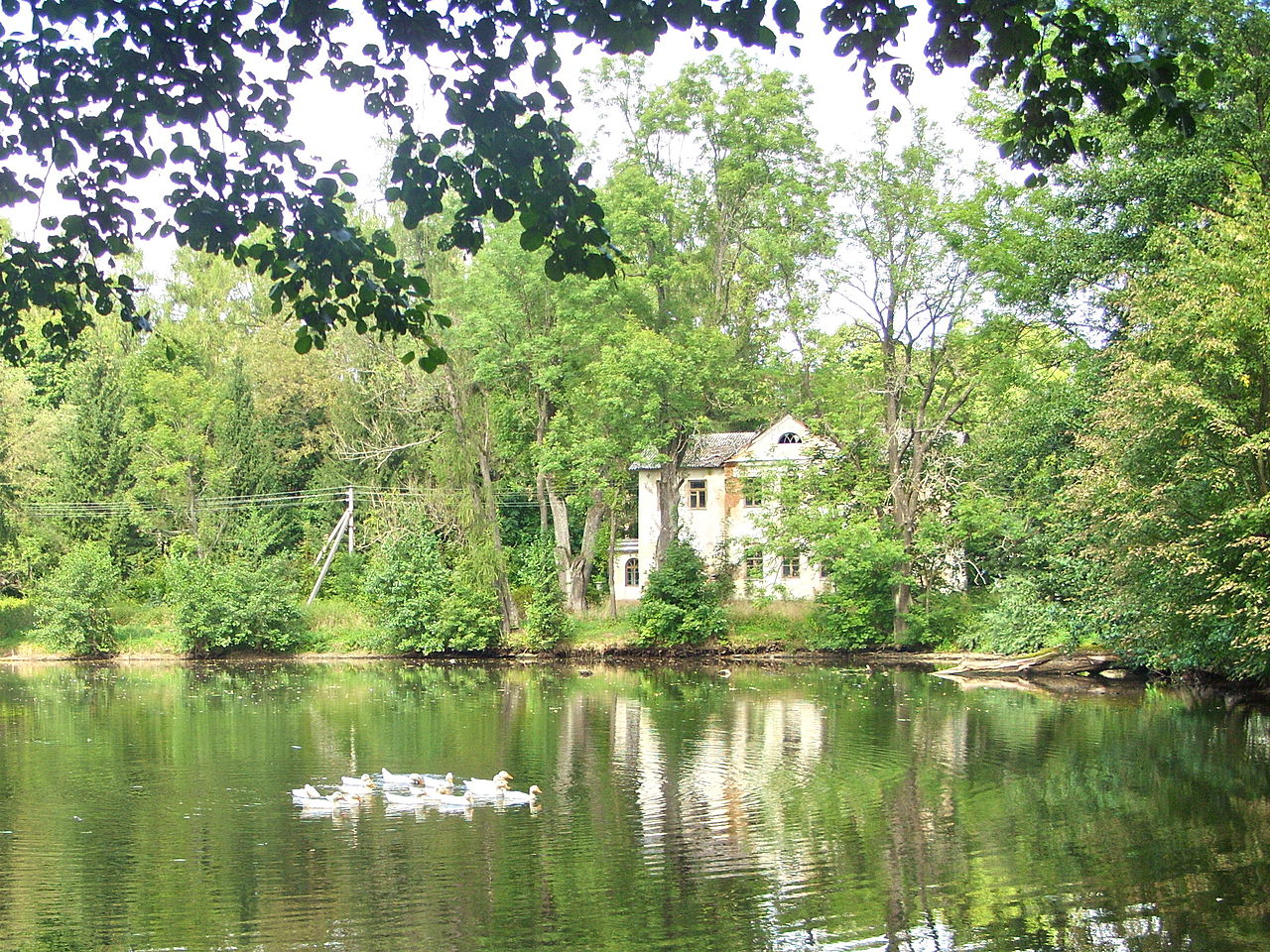 1280px-Совейки5.jpg