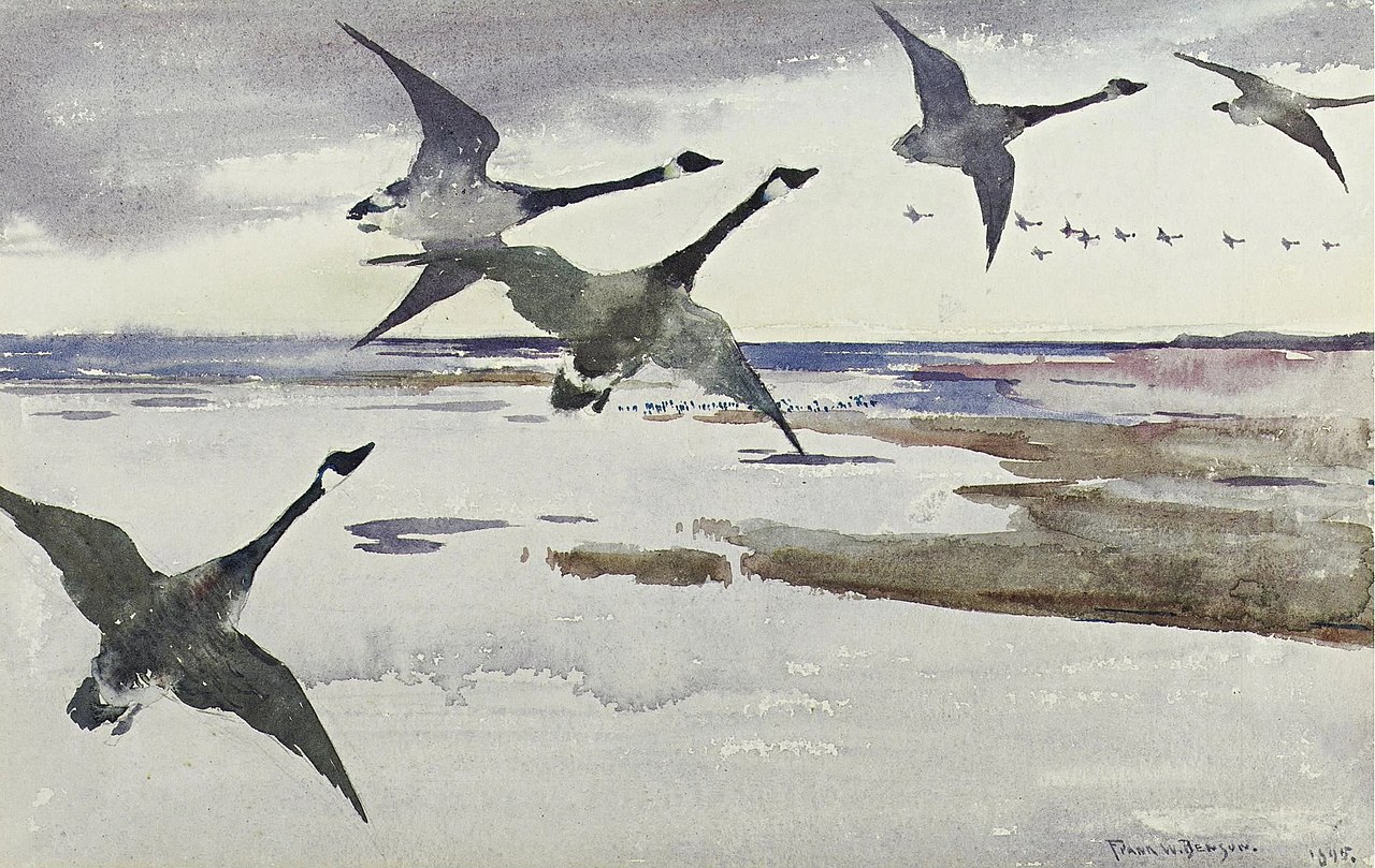 1280px-Canadian_Geese_watercolor_1895_Frank_Weston_Benson.jpg