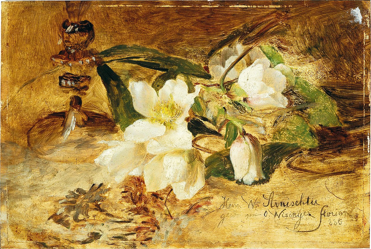 1280px-Olga_Wisinger-Florian_-_Black_hellebore 85.jpg
