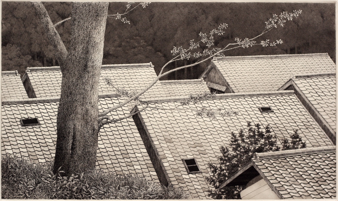 1702b-roofs.jpg