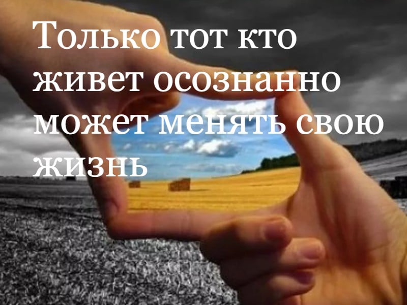 240604681_4383847765005722_2180538002369227705_n.jpg