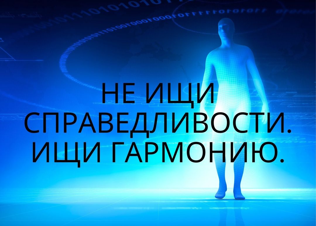 241347796_1280653269053791_5708904670505962780_n.jpg