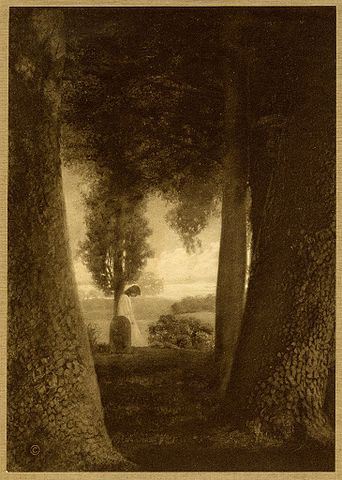 342px-Adelaide_Hanscom_Sonnets_from_the_Portuguese_001.jpg