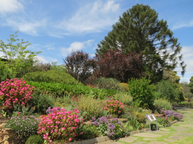 387871_carrick-hill-gardens-adelaide.jpg