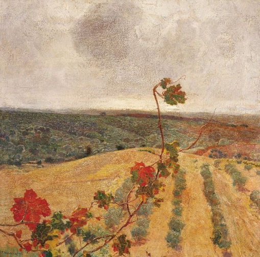 458341_900.jpg