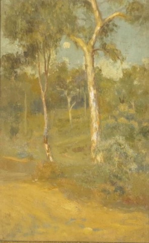 47017128.jpg
