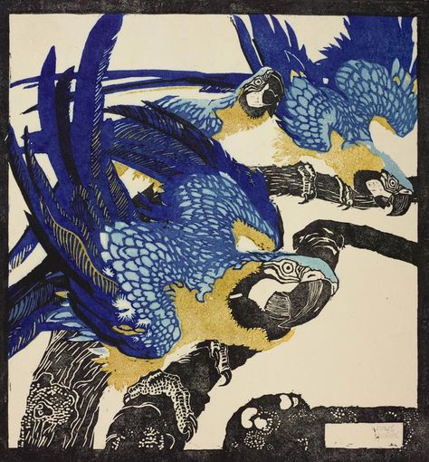 5218f541dffd4ed7dc61b55b4a5ef1bd--blue-macaws-sketch-art.jpg