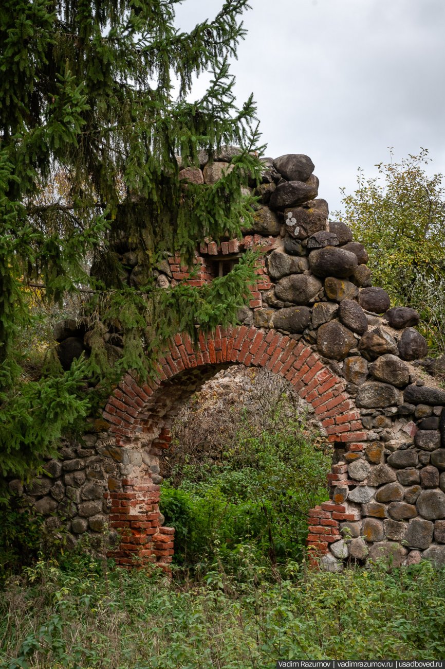 5346515_original (1).jpg