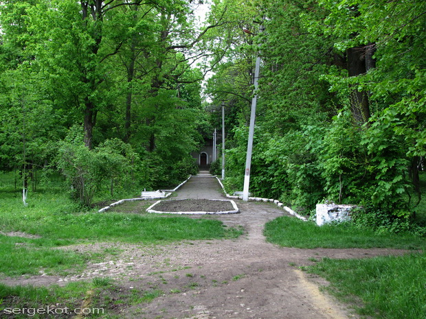 5367.jpg