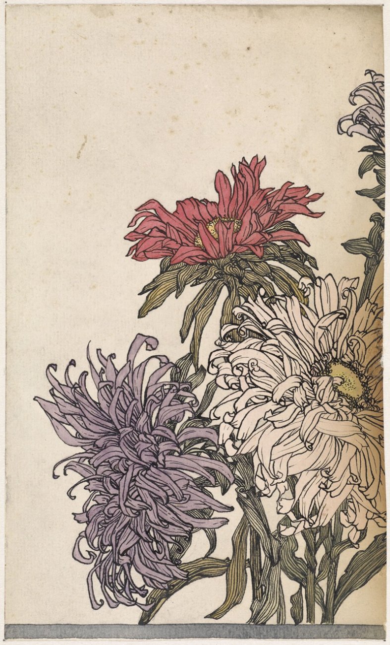 71030pl.jpg