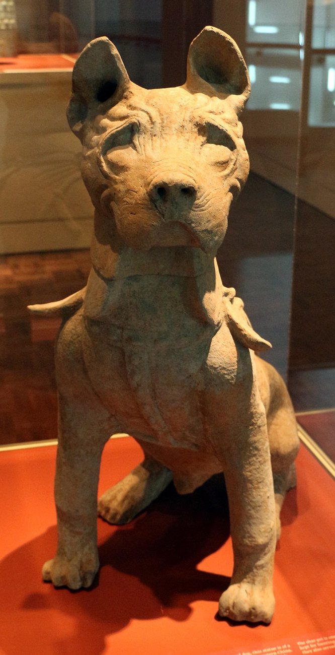 800px-Dinastia_han_orientale,_cane_seduto_shar-pei,_100_ac_ca.jpg