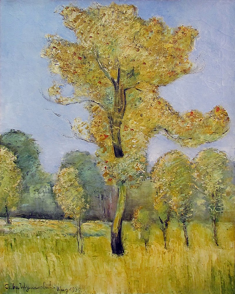 800px-Sumanovic_Elm.jpg