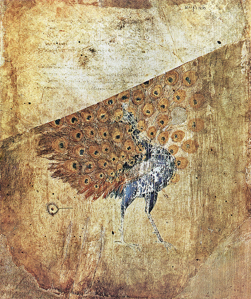 800px-ViennaDioscoridesEndpaperPeacock.jpg