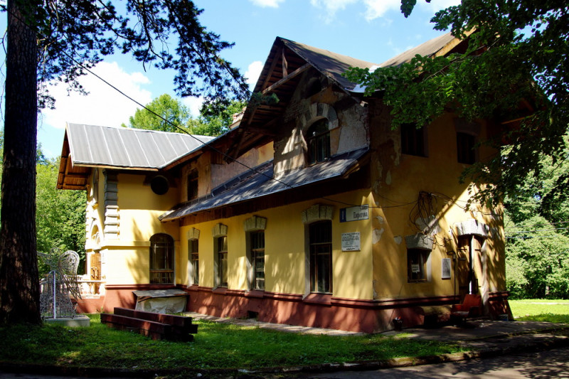 917109_800.jpg