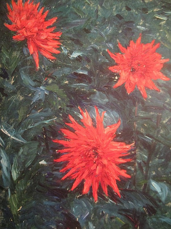 92Caillebotte_Dahlias_1892п.jpg