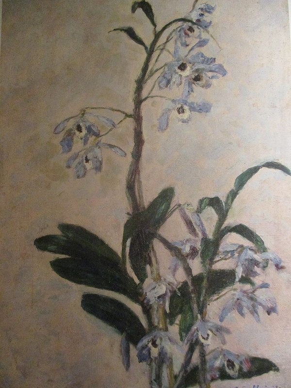 93Gustave_Caillebotte_Orchidées_1893п.jpg