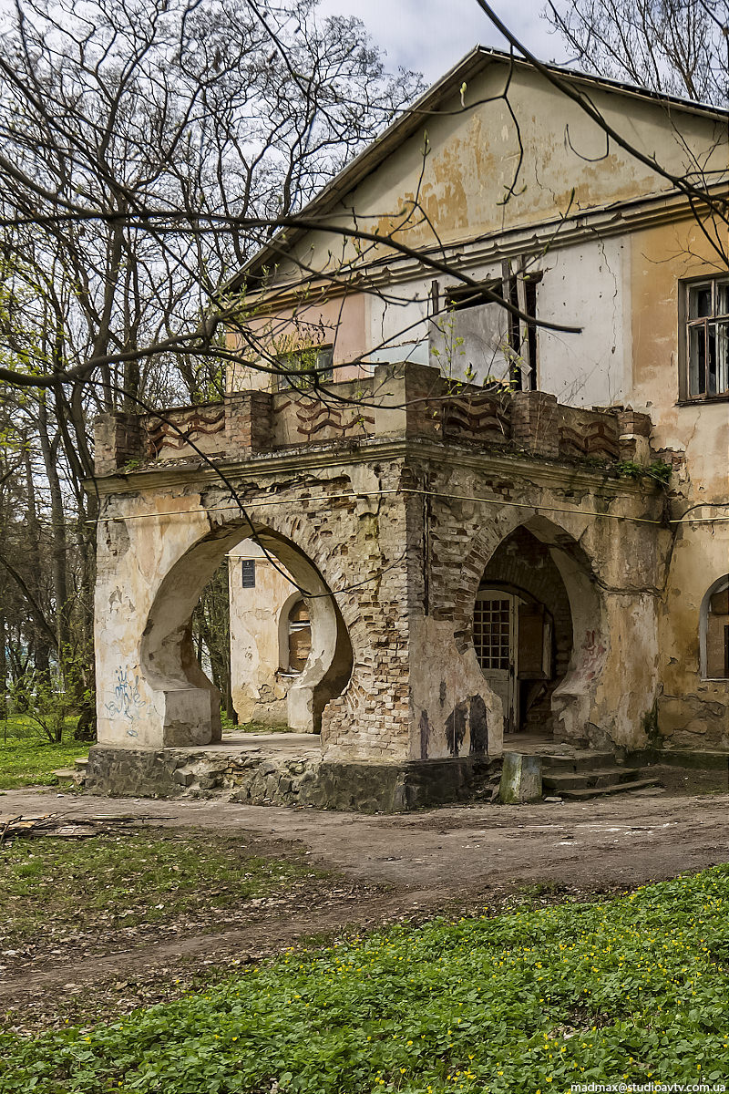 9Y5B0337_1.jpg