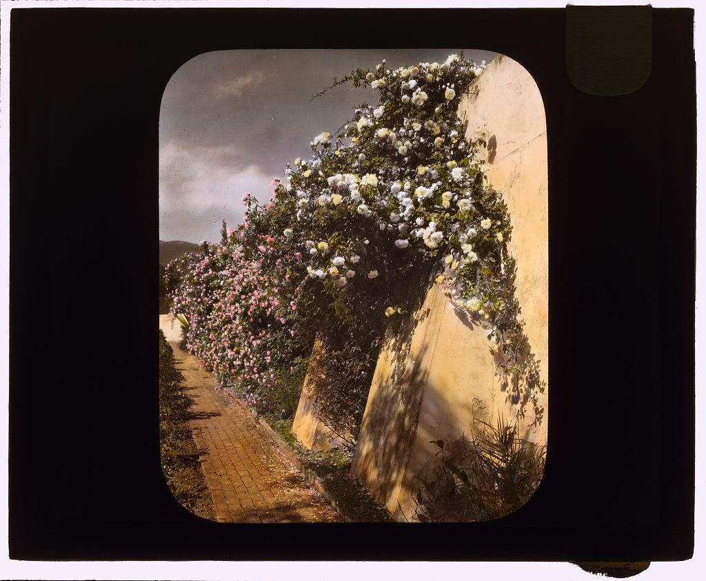 _El_Fureidis,__James_Waldron_Gillespie_house,_Parra_Grafornia._LOC_7096431543.jpg