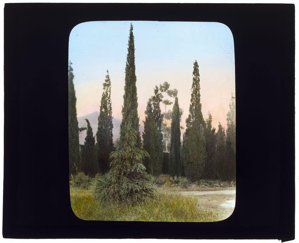 _El_Fureidis,__James_Waldron_Gillespie_house,_Parra_Grande_Lane,_Montecito,_.jpg
