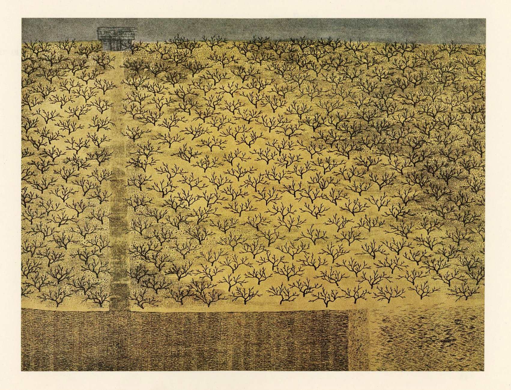 a-fools-life-akutagaya-ryohei-tanaka-orchard.jpg