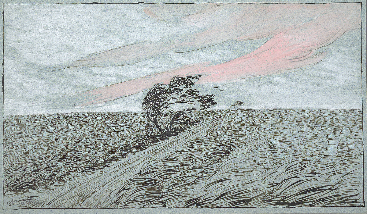 adolf-boehm-baum-im-sturm-1897-albertina-wien.1200x0.jpg