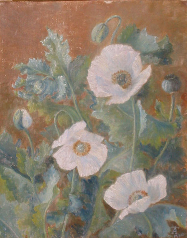 Anthonore_Christensen_-_Hvide_valmuer_-_п1900.png
