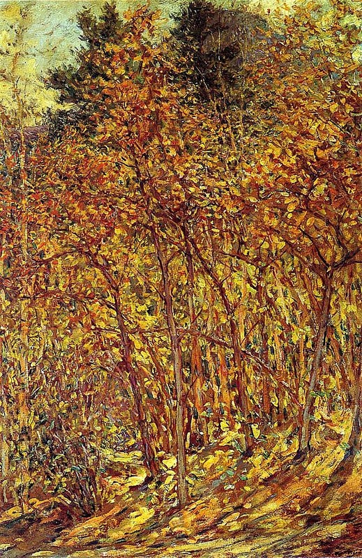 Autumn Sunlight, Robert Reidа.jpg