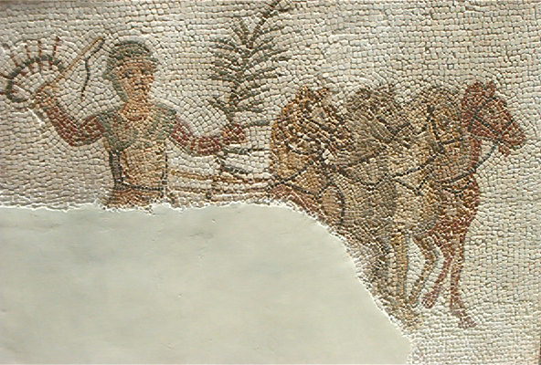 Bardo_aurige_Thuburbo.jpg