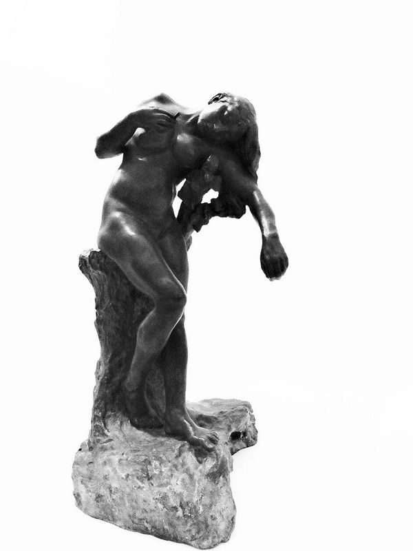 Camille_Claudel.-_Niobide_blessée.п.jpg