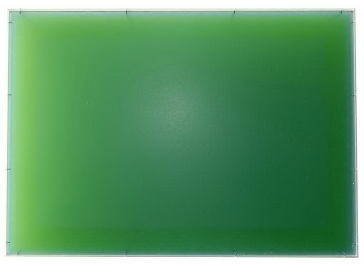 colour-as-a-shadow-2005.jpg