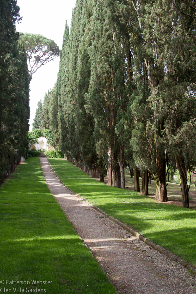 cypress-path.jpg