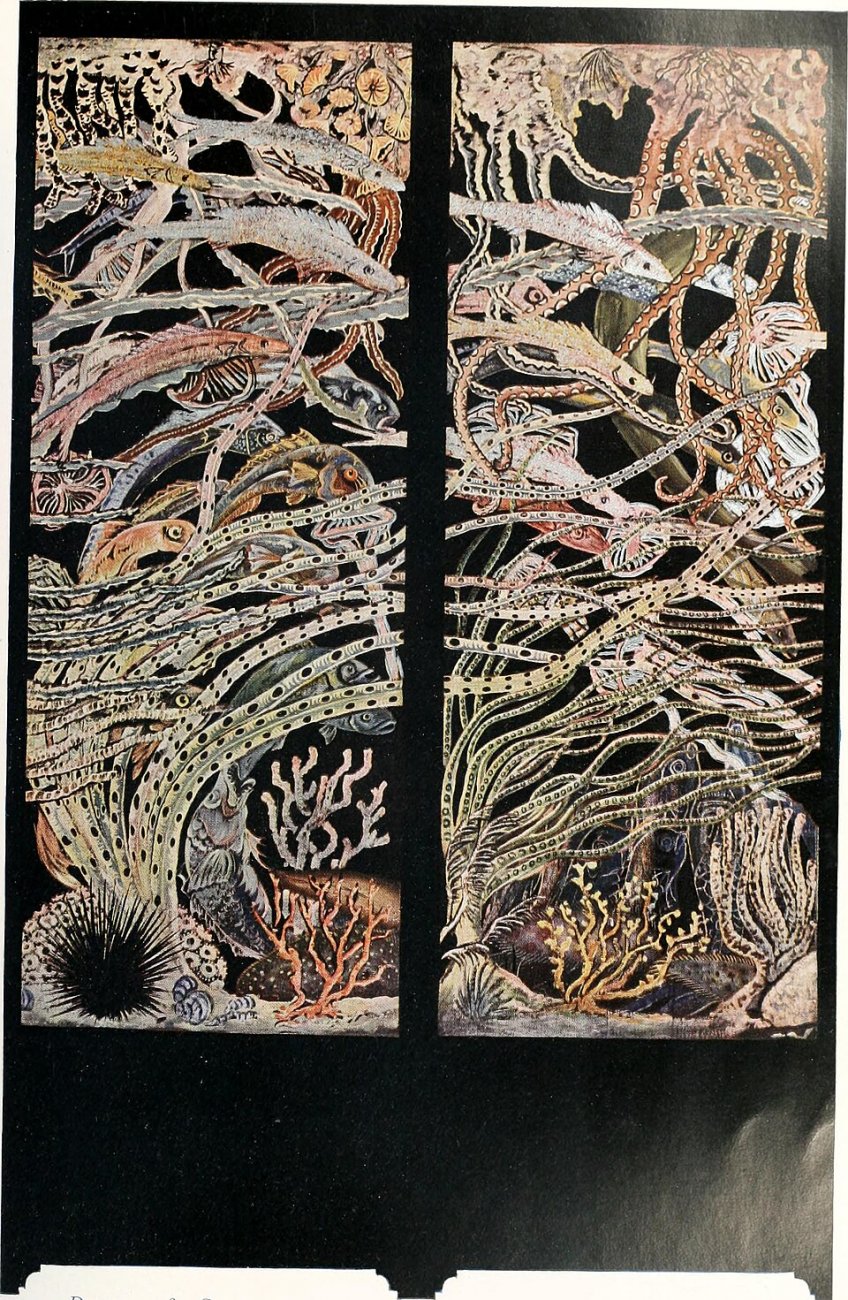 Deep_Sea_Fantasy,_by_Robert_Winthrop_Chanler 97.jpg