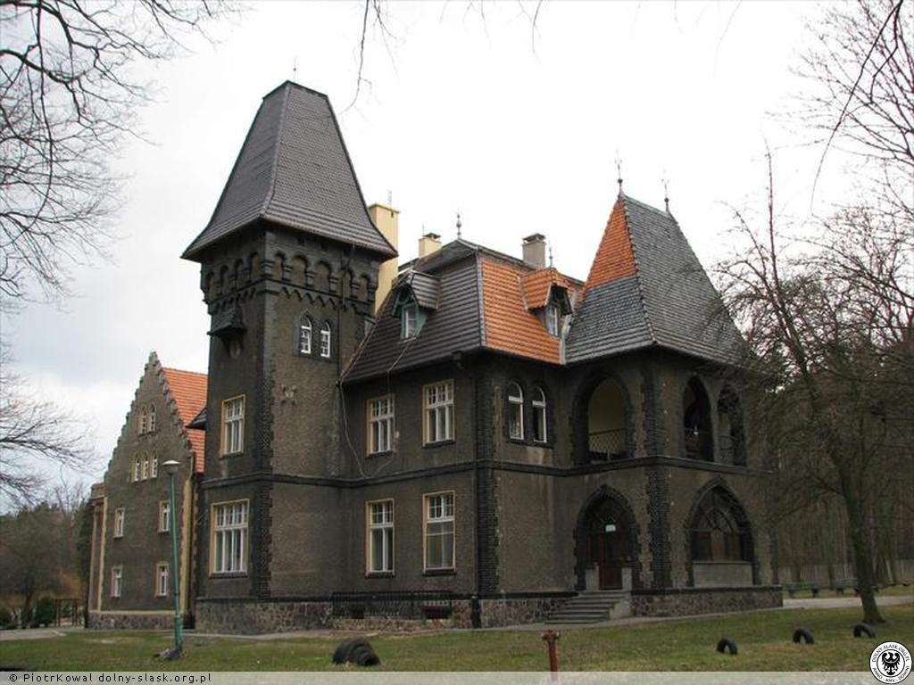 Dom_Pomocy_Spolecznej_palac_Lopuchinow_Chroscin_7282919.jpg