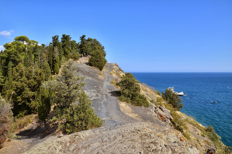 DSC_1559.JPG